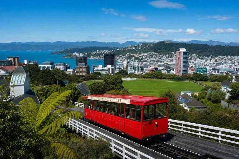 Illustration of Actividades en Wellington: Guía Definitiva 2026