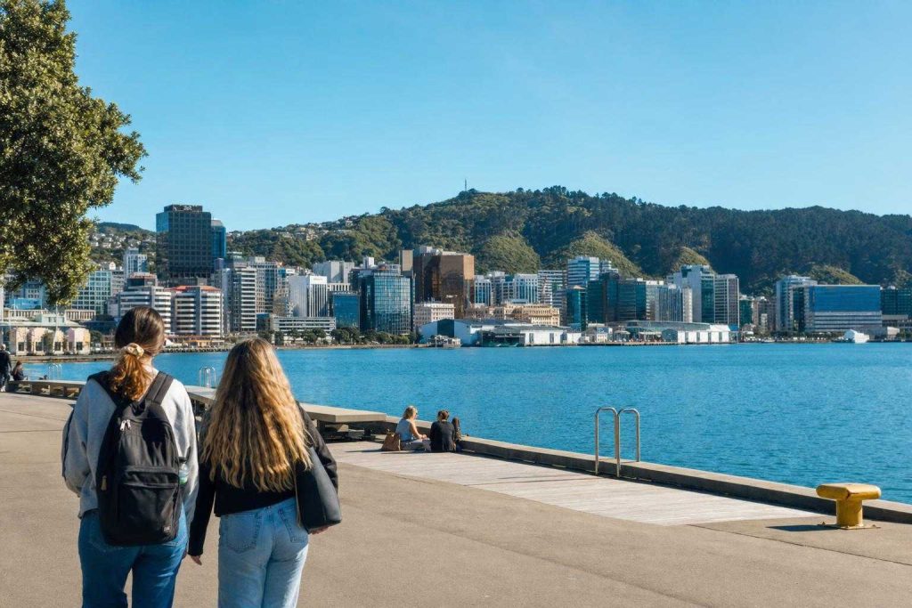 Additional Illustration of Actividades en Wellington: Guía Definitiva 2026