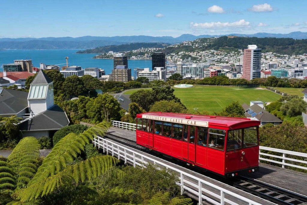 Additional Illustration of Actividades en Wellington: Guía Definitiva 2026