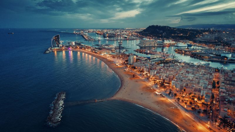 Grados y pregrados en España