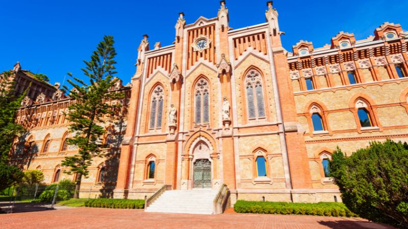 Grados y pregrados en España